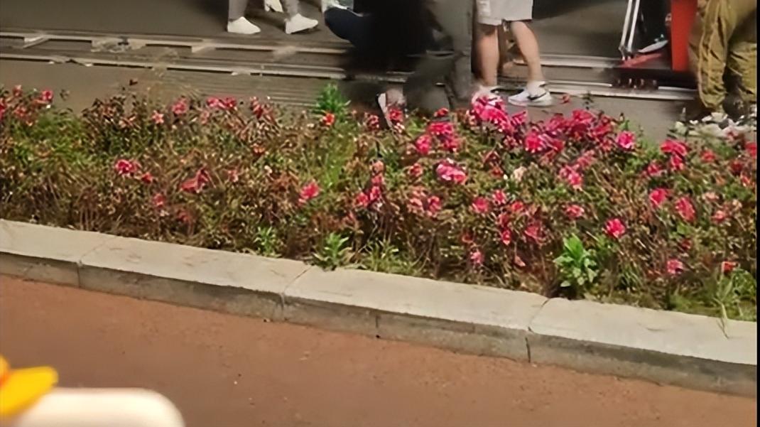 迪丽热巴|迪丽热巴《公诉精英》路透照曝光，戴上口罩扎在人堆里，依然亮眼