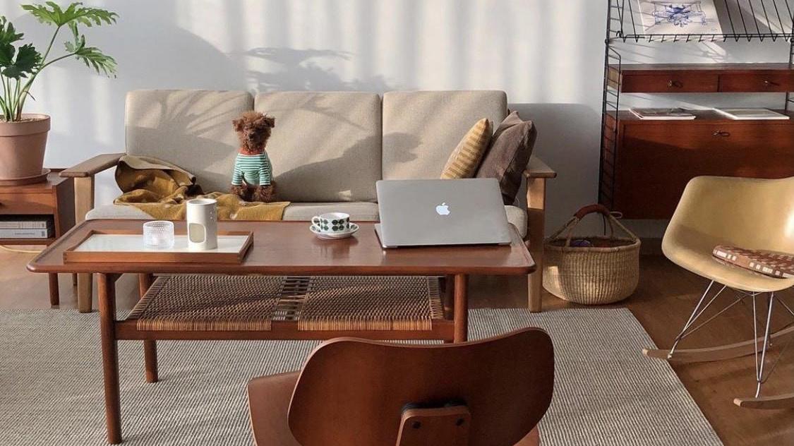 韩国精致一人居，与狗为伴，入住3年的家保持得干净治愈，真有爱