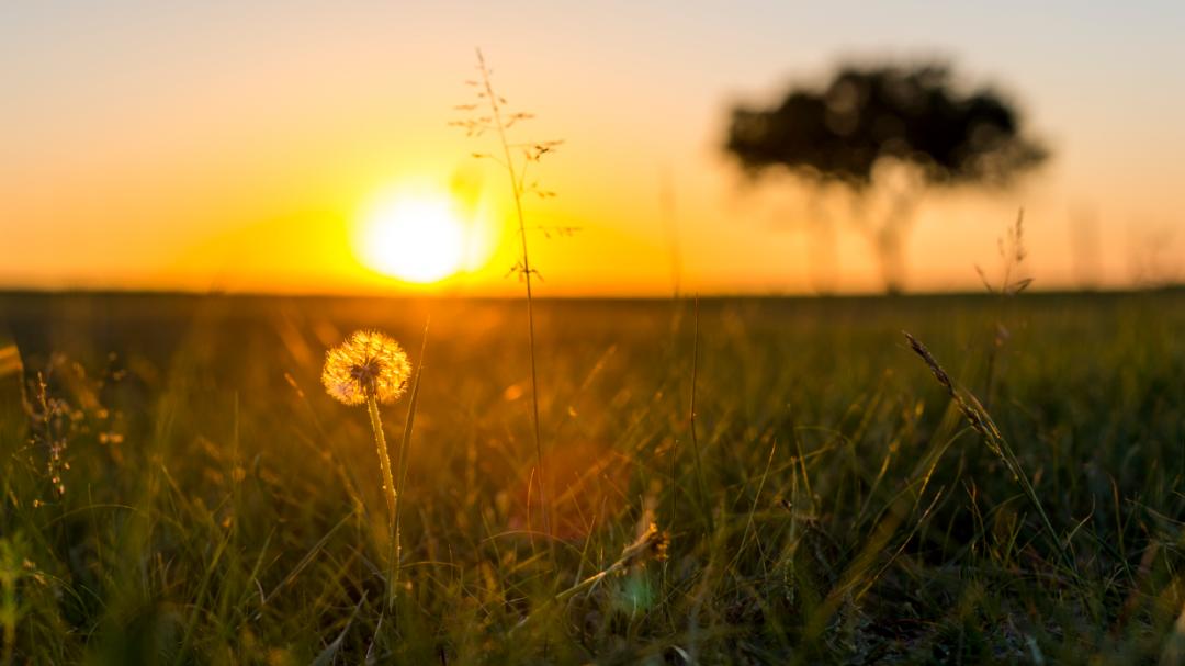 摄影技巧：户外拍照，怎么解决背景杂乱的问题？