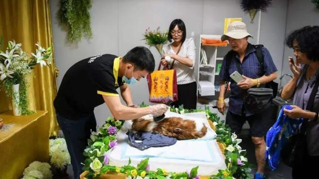 运势|疫情之后，涌现出一批“新职业”，工资很高，但大部分人不想做