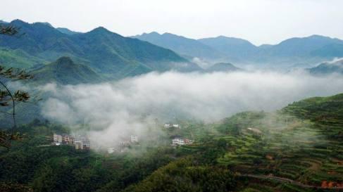 油菜花|这个村子有着“云中村”之美称，常年云雾缭绕如仙境！