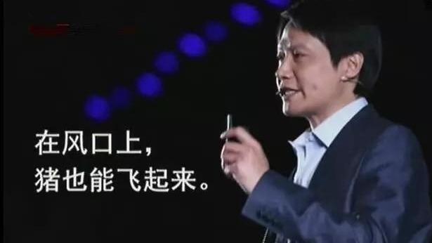 阿里巴巴|招商团长是站在轻投资创业风口的一头“猪”