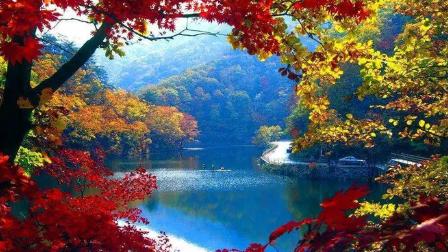 九华山|这些东北秋天的景色究竟有多美！
