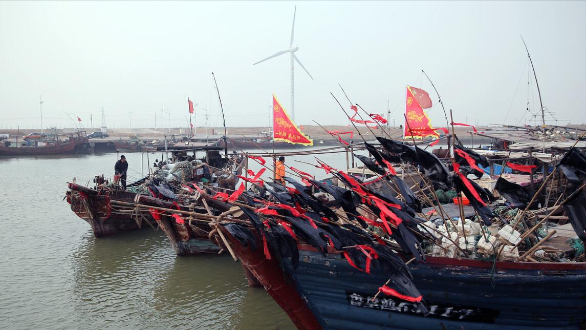 草鱼|今年4月20谷雨，牢记：1要走2要祭3要吃，随时令，为入夏打好基础