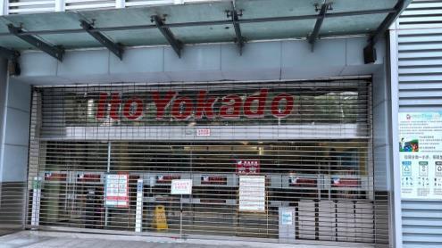 饵料|疫情后的那些故事