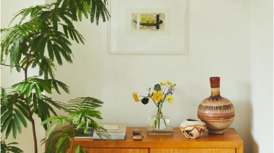 日式装修风格的一人居，温暖的光线，清新的绿植，生活诗意