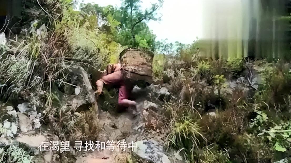 正义的算法|《变形计》最幸运的农村娃李勒优被阔太收养，8年后的她怎样了？