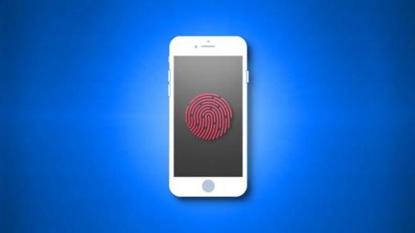 iPad|iPhone、iPad 和 Mac 上的 Touch ID 是什么？