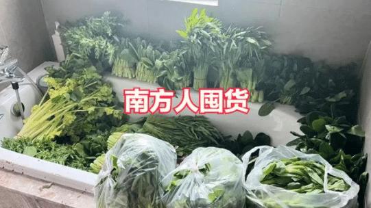 广州市|看完北方人囤货，再看南方人囤货，网友：没有对比就没有伤害