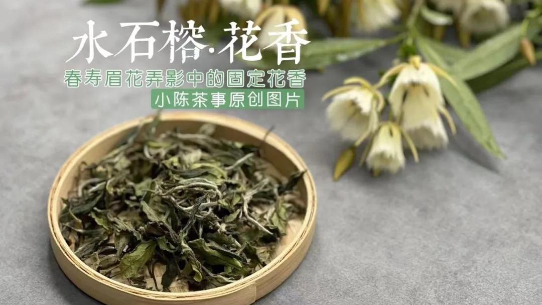 营养膳食|办公室喝白茶，教你3种泡法，简单又实用，夏天喝茶时用得着