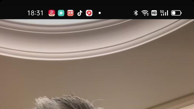 李立群|李立群随口说出的一句话遭网友指责，清风不识字，何事乱翻书！