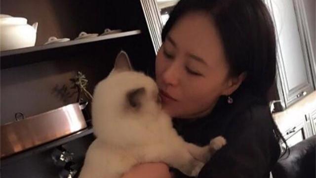 参观邬君梅住的豪宅，会客厅摆放了山水画，装修也太高档了