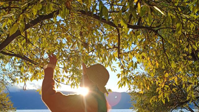 oppo reno7|带上OPPO Reno7出门春游是什么体验？真正的好看又好用