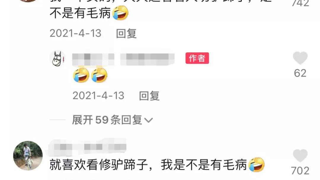 老中医 小毛驴“暴力”美甲：是谁爽翻了？