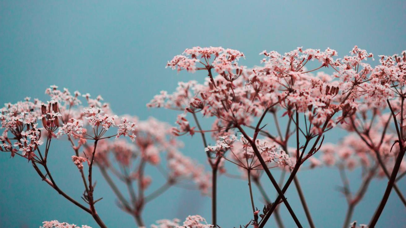 临汾|有学分证的女员工，在婚姻中会有怎样的表现？