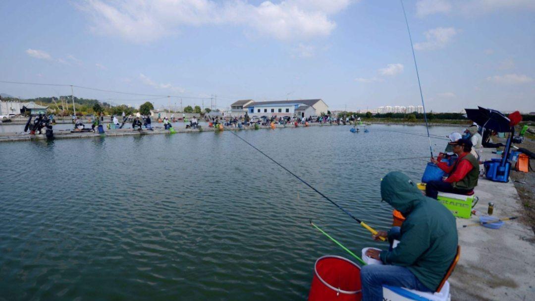 饵料|冬钓久坐无口？学会这4个打窝“技巧”，酷寒天也能连杆上鱼