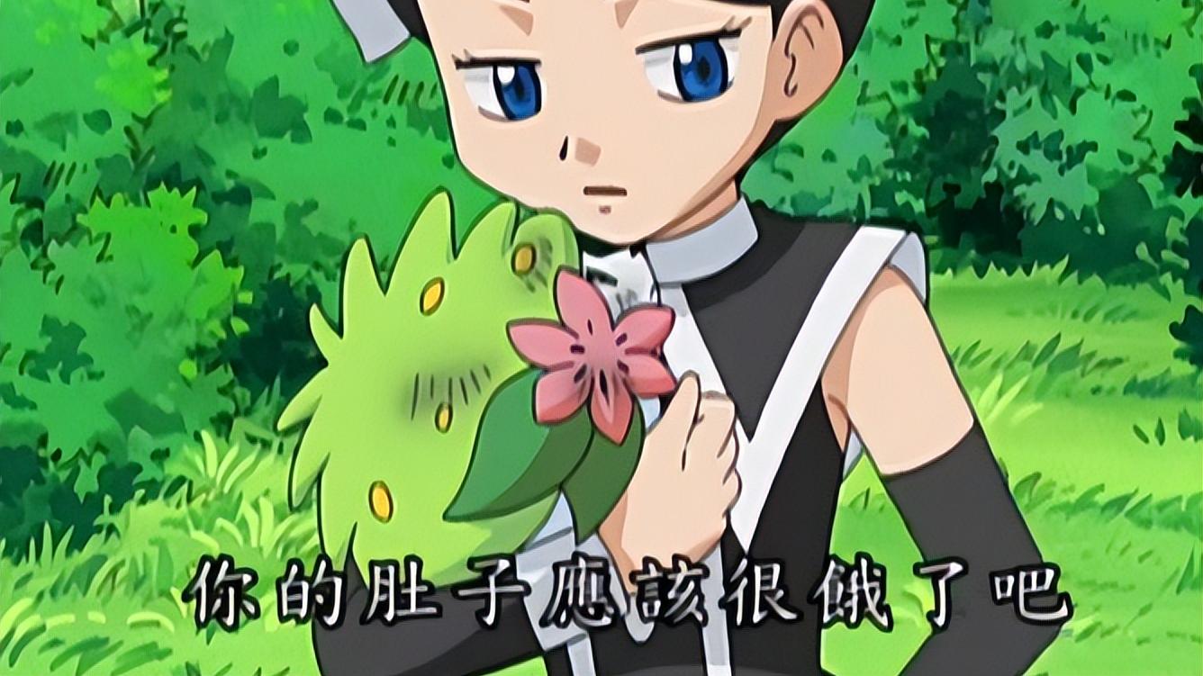 一拳超人|《宝可梦》遭遇火箭队袭击的谢米，变换形态后前往天空的彼端！