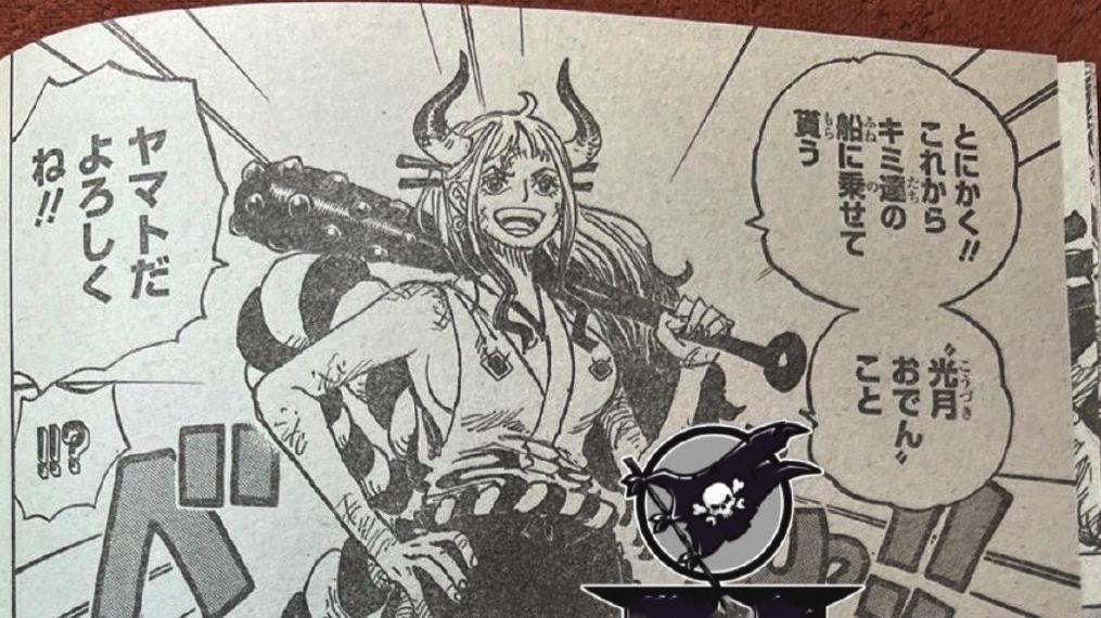 雷欧|海贼王1051话：尾田真让大和上船了！她在草帽团的职责会是什么呢