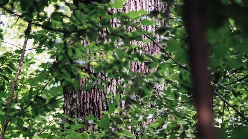 处女座|处女座生气不好哄，性格耿直，对自己的要求也比较高