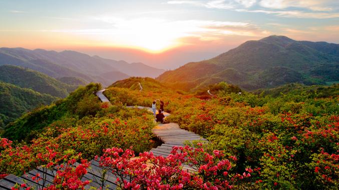 珠海|珠海一“低调”景区，植被茂盛美不胜收，还被誉为“小九寨沟”