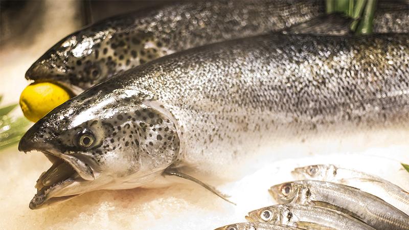 高血压|一天一颗鸡蛋，真的会对宝宝的发育有帮助吗？