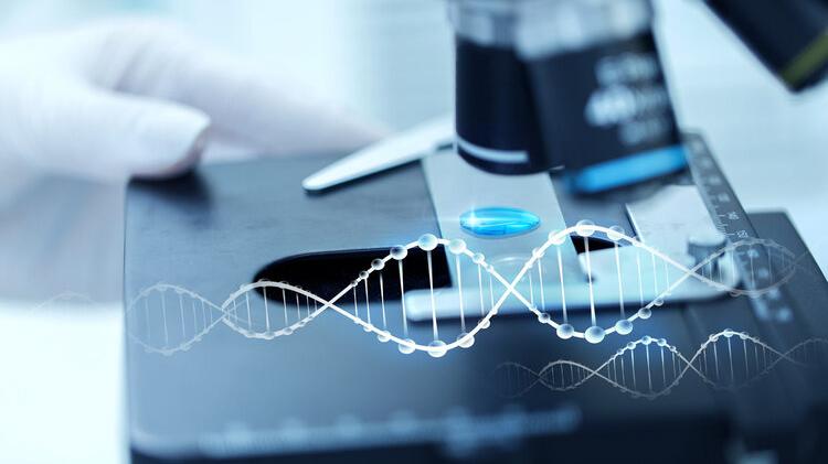 阿尔茨海默病|复旦新研究：每天晒1.5小时，或可预防老年痴呆，如何健康晒太阳