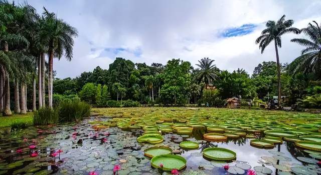 避暑胜地|想过20℃的夏天？国内这10个绝美避暑胜地，你可千万不能错过！