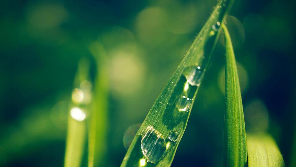 专车|开一家店赚钱的秘诀