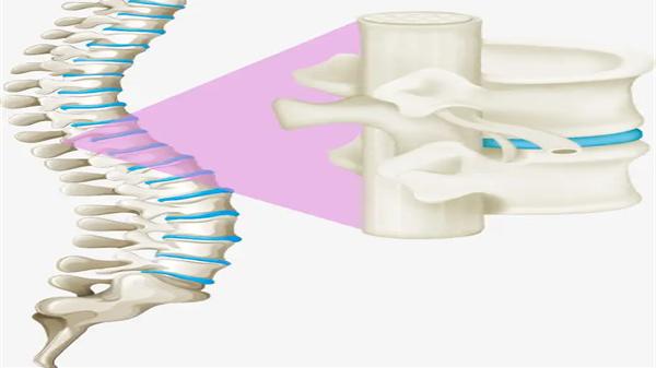|脊柱平衡了，人就是健康的吗？