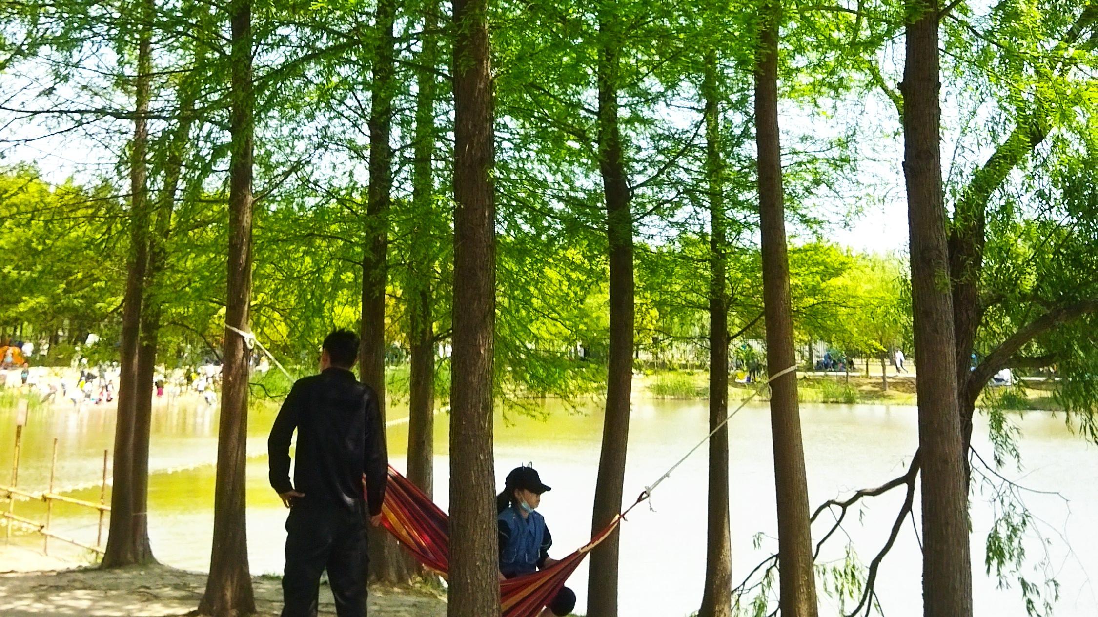 招聘|你玩你的招聘，我坚持我的清高，又没人用刀子逼着去应聘