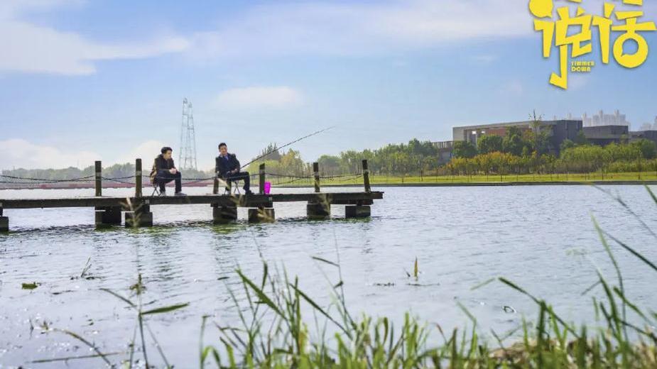 好好说话|《好好说话》在湖南卫视播出，由陈晓和王晓晨领衔主演