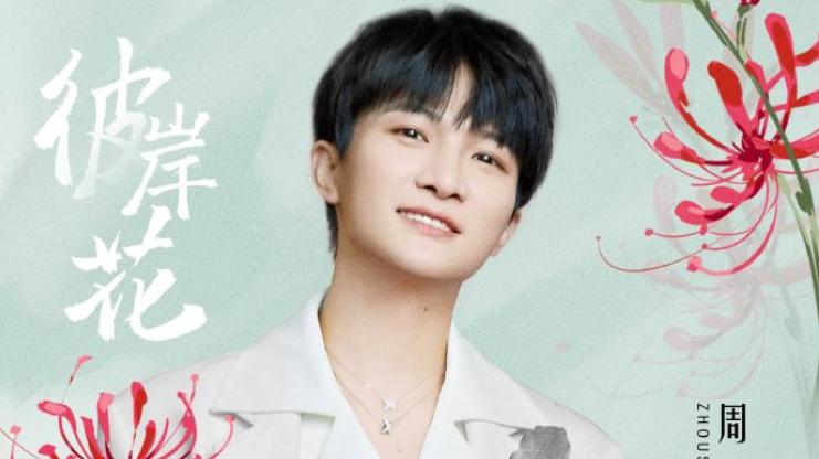 周深|心心念念的《彼岸花》终于上线，周深又一首抚慰心灵的歌曲，好听
