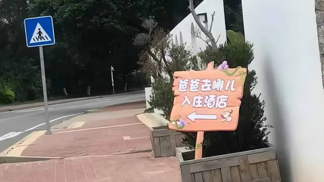 爸爸去哪儿|《爸爸去哪儿》即将重回荧幕？