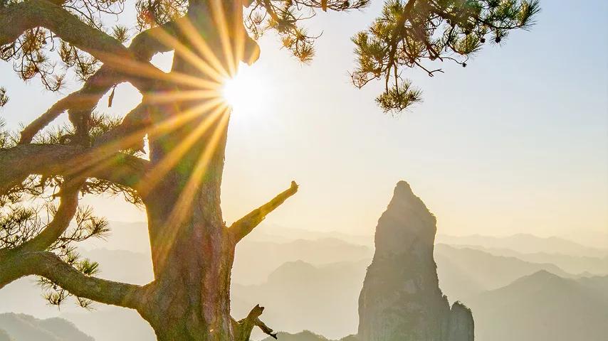 杜晓梦 | 洁身自爱，守住性行为底线，守住健康，要不要打HPV疫苗，请科学看待