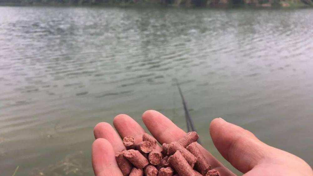 |冬钓鲫鱼打窝的小技巧，学会了能多钓七八条