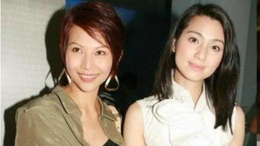 洪欣|遭李嘉欣掌掴，被闺蜜“送”给刘銮雄，洪欣遥控器事件是真是假？