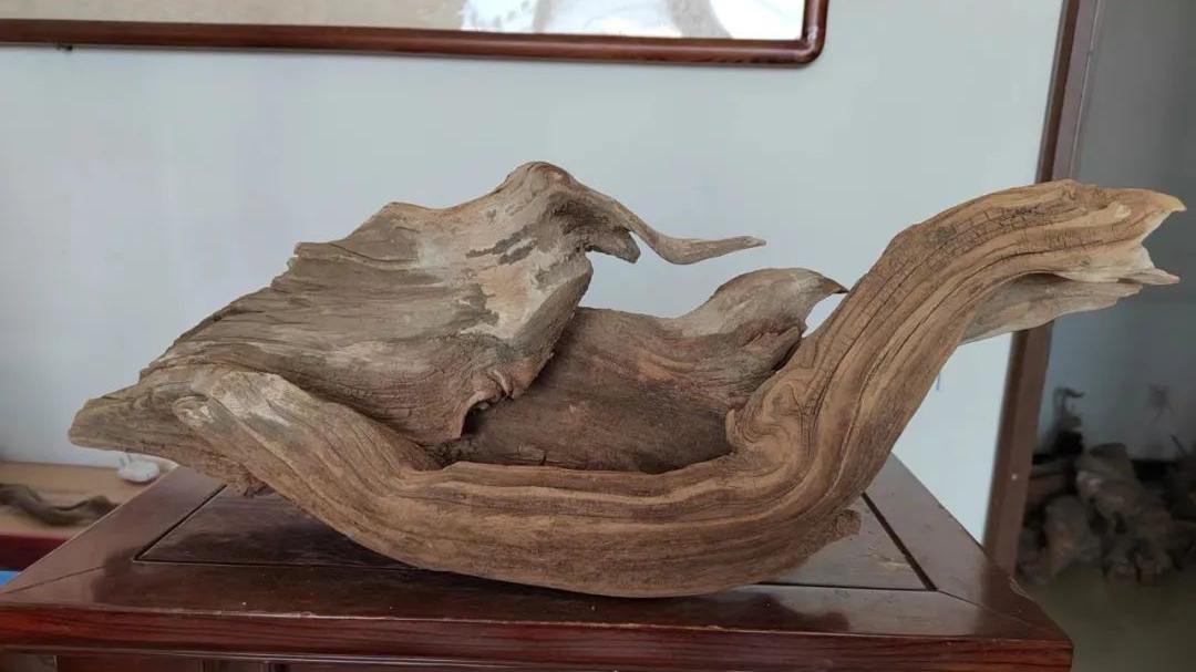 |有人说你崖柏很烂你如何看呢？