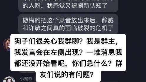 许敏|田静在九江买房？郭威小姨子说出谁掏的钱，傲梅和许敏录音引争议