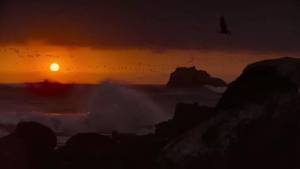 |站在黄昏之时看到你的归来