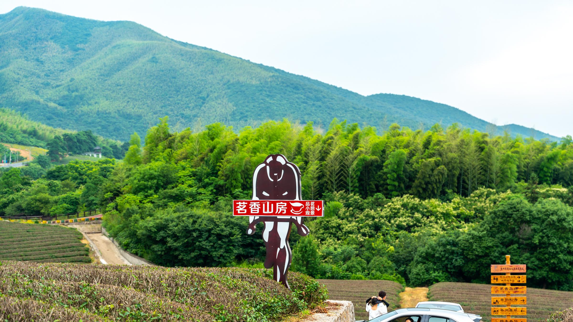 茶园|江苏首个自行车主题公园，藏在这山间茶园里，景美人少还不要门票