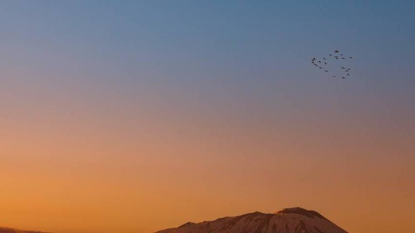 |家电市场必须要打破“三无僵局”