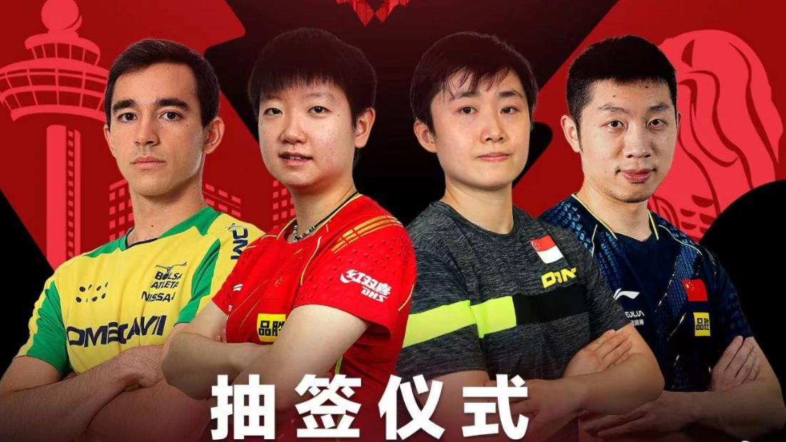 马龙|新加坡赛签表出炉！莎莎曼昱同半区，小胖再碰张本，马龙大头相遇