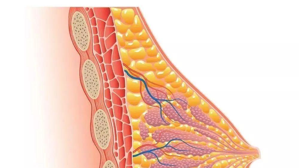 高血压|经期乳房像针扎一样刺痛？可能是你的身体正在发出求救信号！