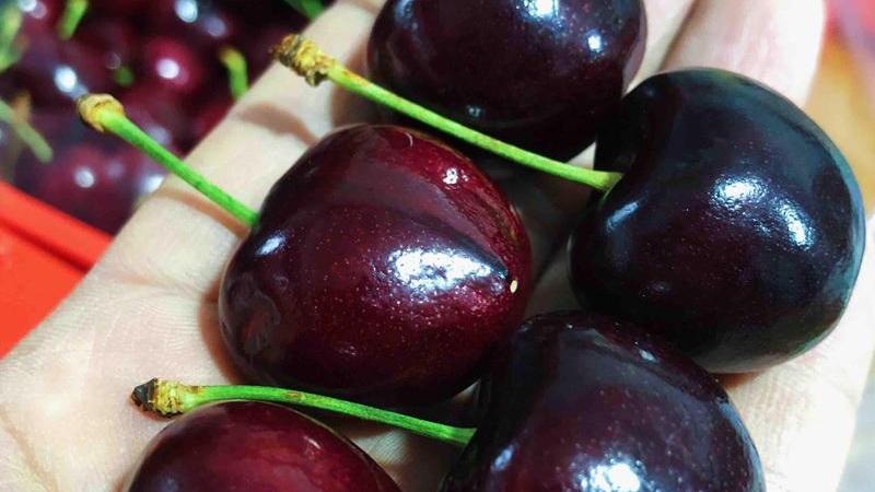 水果 减肥必看：这些水果吃着很甜，却是“低糖水果”，放心吃不长肉