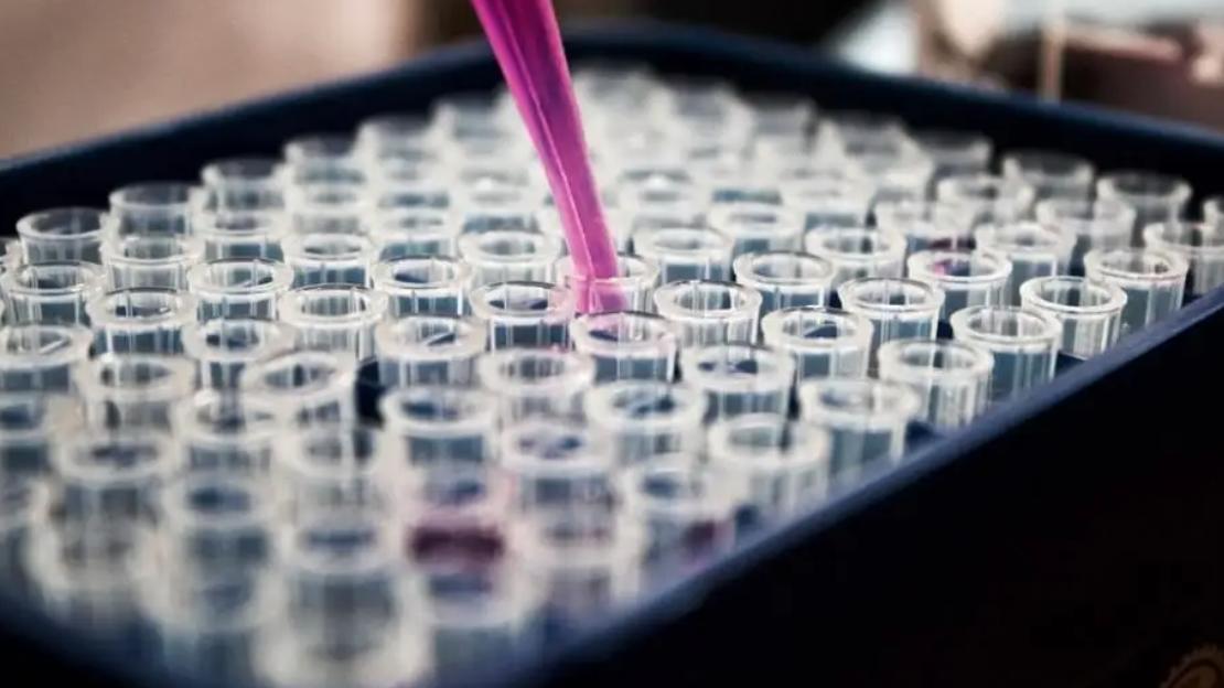 乙肝|乙肝新型反义寡核酸，通过AAV-HBV模型，验证三种结构新颖ASOs