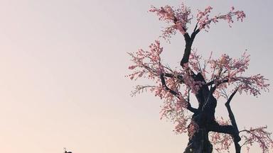 王小石|《说英雄》首播：主角演技引热议，杨超越令人惊喜，打戏评价两极