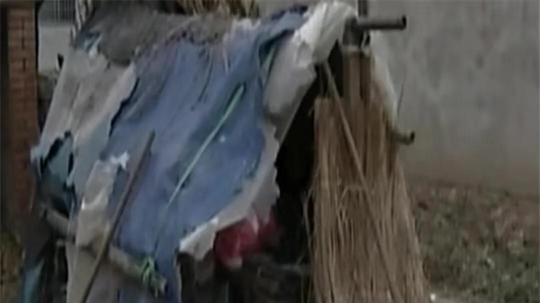 13岁苦命孤儿蜗居狗窝，姑姑却住旁边别墅，邻居：她看中的是钱