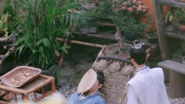 杨紫|《长相思》代拍厚此薄彼只拍杨紫！躺椅出镜率高，成杨紫标配