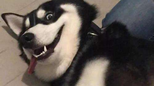 已经转给我爸了希望他能学会