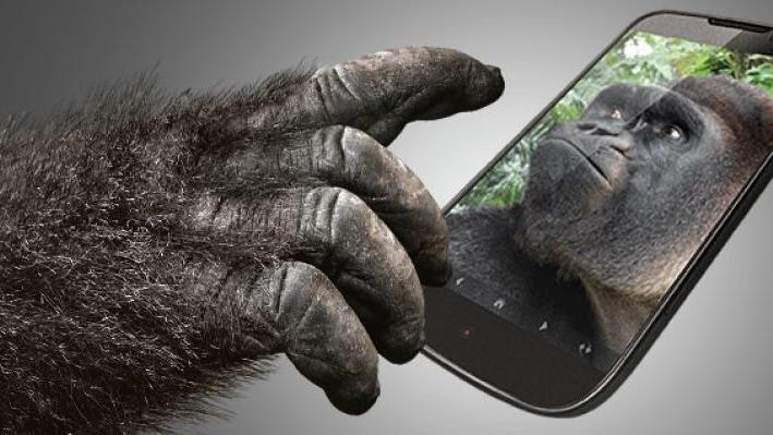 诸多手机厂商都在用的大猩猩玻璃到底是什么？真的耐磨抗摔吗？
